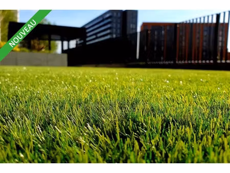 local d'activite - atelier 1000m2