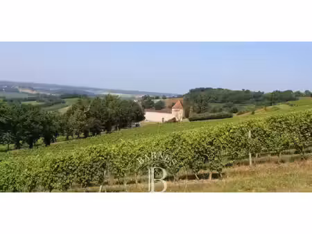 propriété saint-mont (32)