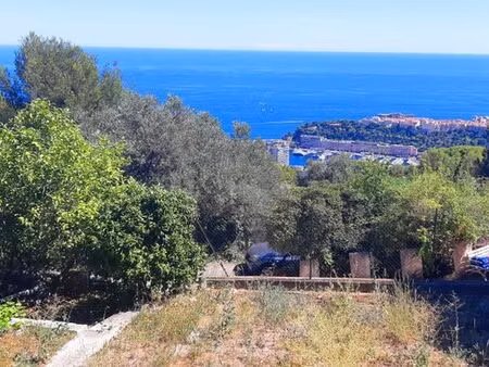 terrain en vente - beausoleil  france