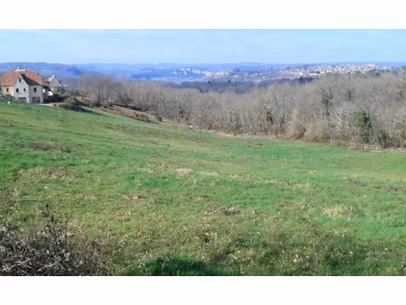 vente terrain 5980 m² à domme (24250)  65 000 €