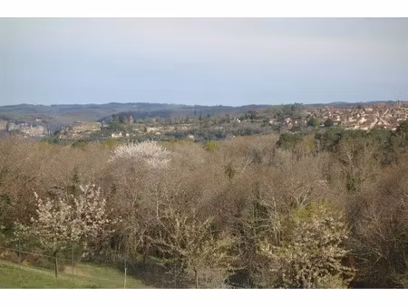 vente terrain 5980 m² à domme (24250)  71 600 €