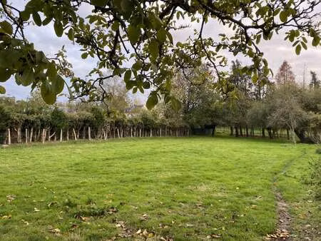 vente terrain à la chèze (22210) : à vendre / 1668m² la chèze