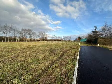 vente terrain au bois-robert (76590) : à vendre / le bois-robert