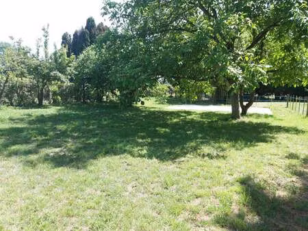 vente terrain à sarrigné (49800) : à vendre / 918m² sarrigné