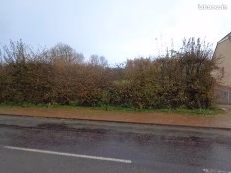 terrain 2516 m² lieres