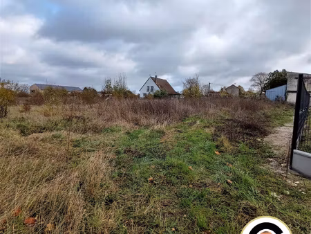 terrain constructible