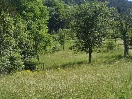 terrain 2890 m² salins les bains