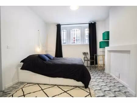 grande maison en colocation - villette