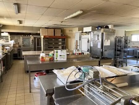 vente local d'activités la chapelle st mesmin 500 m²