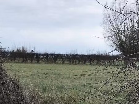 en vente maison – 74 000 € |bellignies