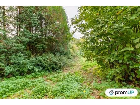 vente maison 1600 m² drubec (14130)