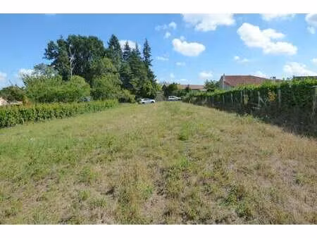 vente terrain à chantonnay (85110) : à vendre / 966m² chantonnay