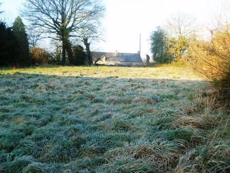 vente terrain à langoëlan (56160) : à vendre / 1300m² langoëlan