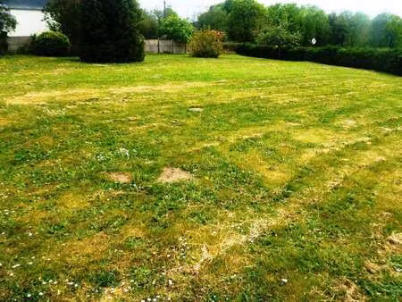 vente terrain à locmalo (56160) : à vendre / 750m² locmalo