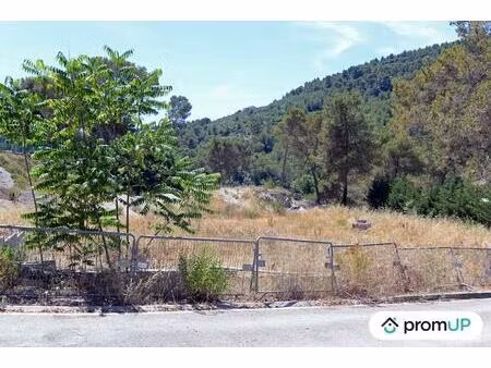 vente terrain 10000 m² contes (06390)
