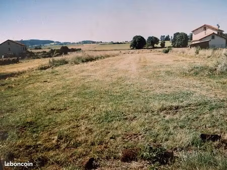 terrain constructible