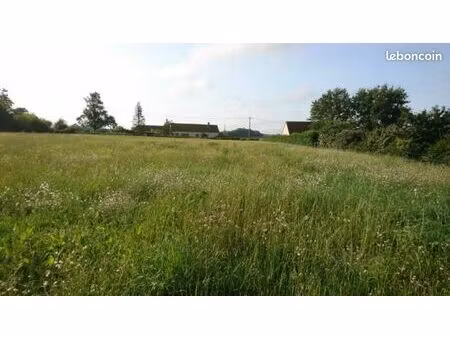 terrain constructible