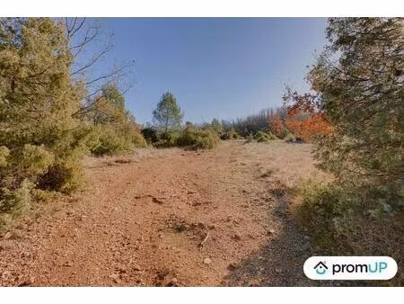 vente terrain 44605 m² rians (83560)