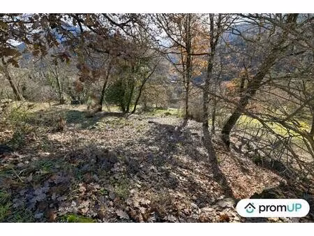 vente terrain 1591 m² roquestéron (06910)