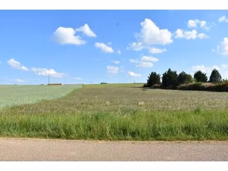 en vente terrain constructible 18 14 ares – 30 000 € |seicheprey