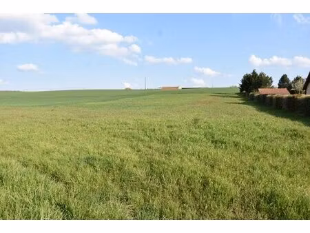 en vente terrain constructible 201 89 ares – 49 000 € |seicheprey