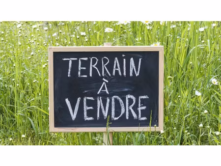 vente terrain usseau 79210 - 60250 € - surface privée
