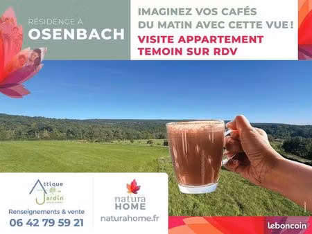 appartement - 4 pièces - attique ou jardin d'osenbach