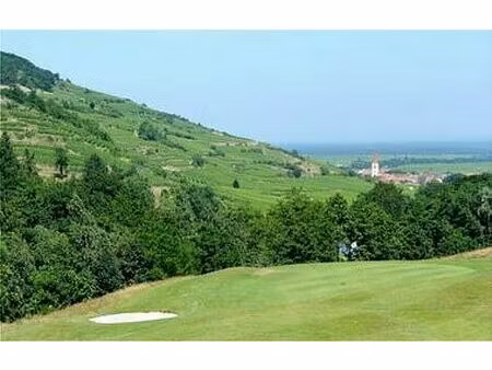 vente commerce ammerschwihr 313 m²