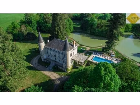 vente château 15 pièces
