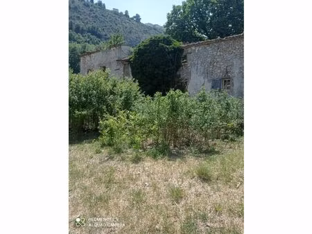vente maison 1 pièce 250 m² entrevaux (04320)