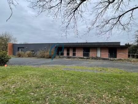 vente maison à liré (49530) : à vendre / 350m² liré