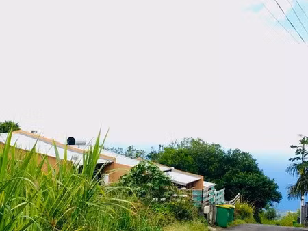 vente maison 3 pièces 50 m² petite-île (97429)