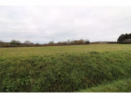 vente terrain  990.00m²  chisseaux