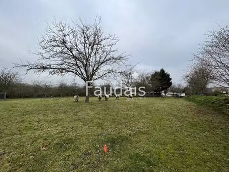 vente terrain au mesnil-raoult (50420) : à vendre / le mesnil-raoult