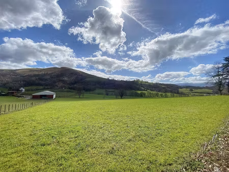 vente terrain 1095m2 saint-jean-pied-de-port 64220 - 83000 € - surface privée