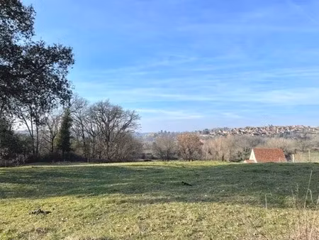 vente terrain 2499 m² à domme (24250)  68 975 €