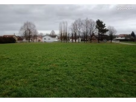 terrain constructible