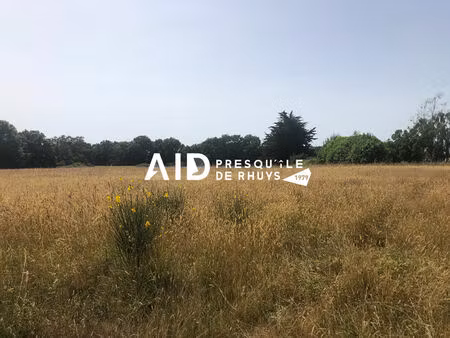 terrain constructible viabilisé entre plage du golfe et vannes