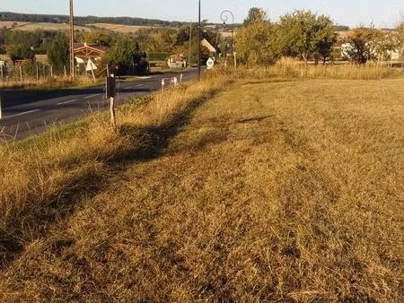 terrain constructible