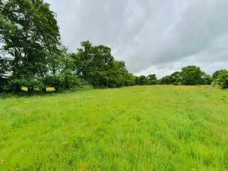 en vente terrain non constructible 1 455 m² – 69 999 € |bois-de-cené