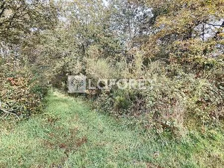 vente terrain à néant-sur-yvel (56430) : à vendre / 12004m² néant-sur-yvel