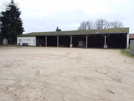 local d'activités 1580 m² noyers sur cher
