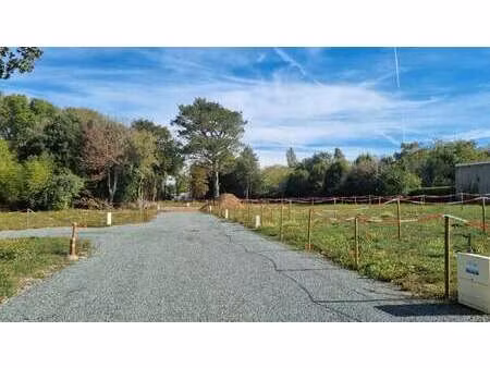 vente terrain à angles (85750) : à vendre / angles