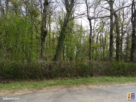 terrain 20176 m² saint-denis-de-palin