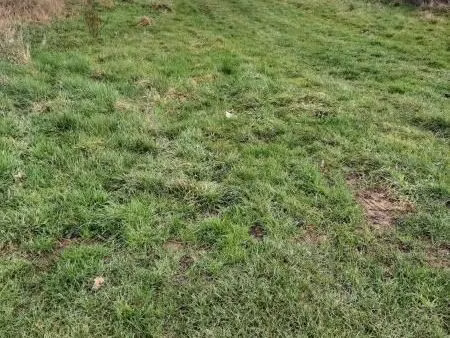 terrain 12249 m² allenay