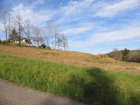 vente terrain à batir 5607 m² à cours-la-ville (69470)  50 000 €