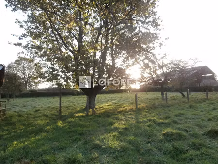 vente terrain 1280 m² à hesdin (62140)  34 000 €