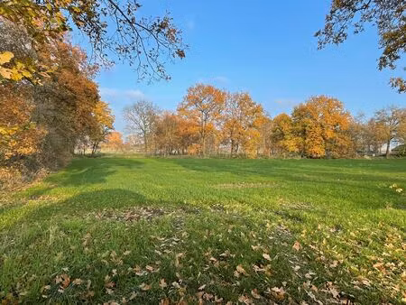 grond te koop in kalmthout