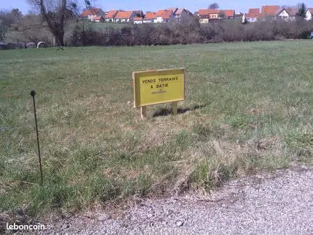 terrains à batir