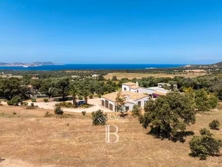 terrain de 1850 m2 en vente - lumio  france